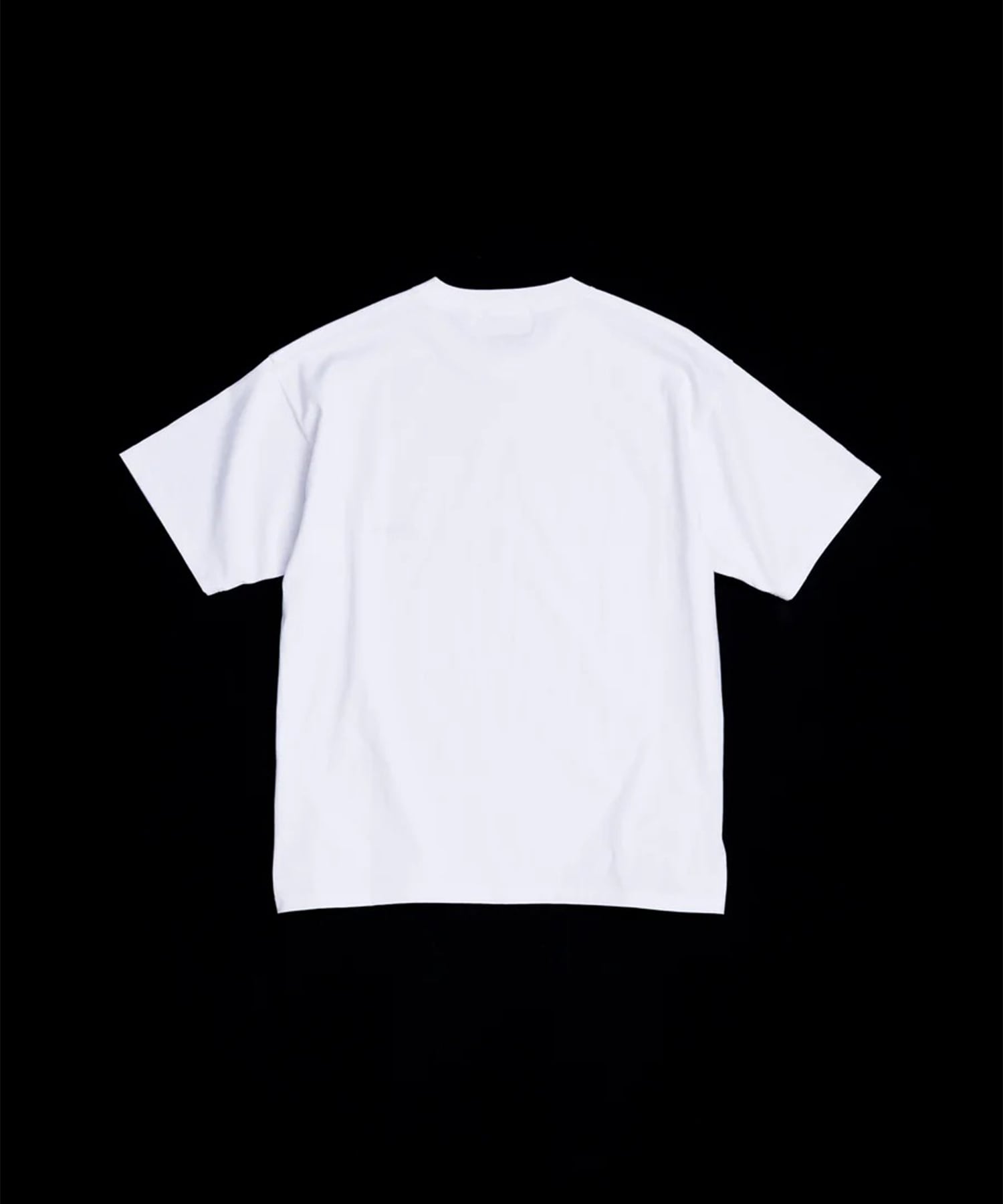 STANDARD EMB S/S T-S ANACHRONORM