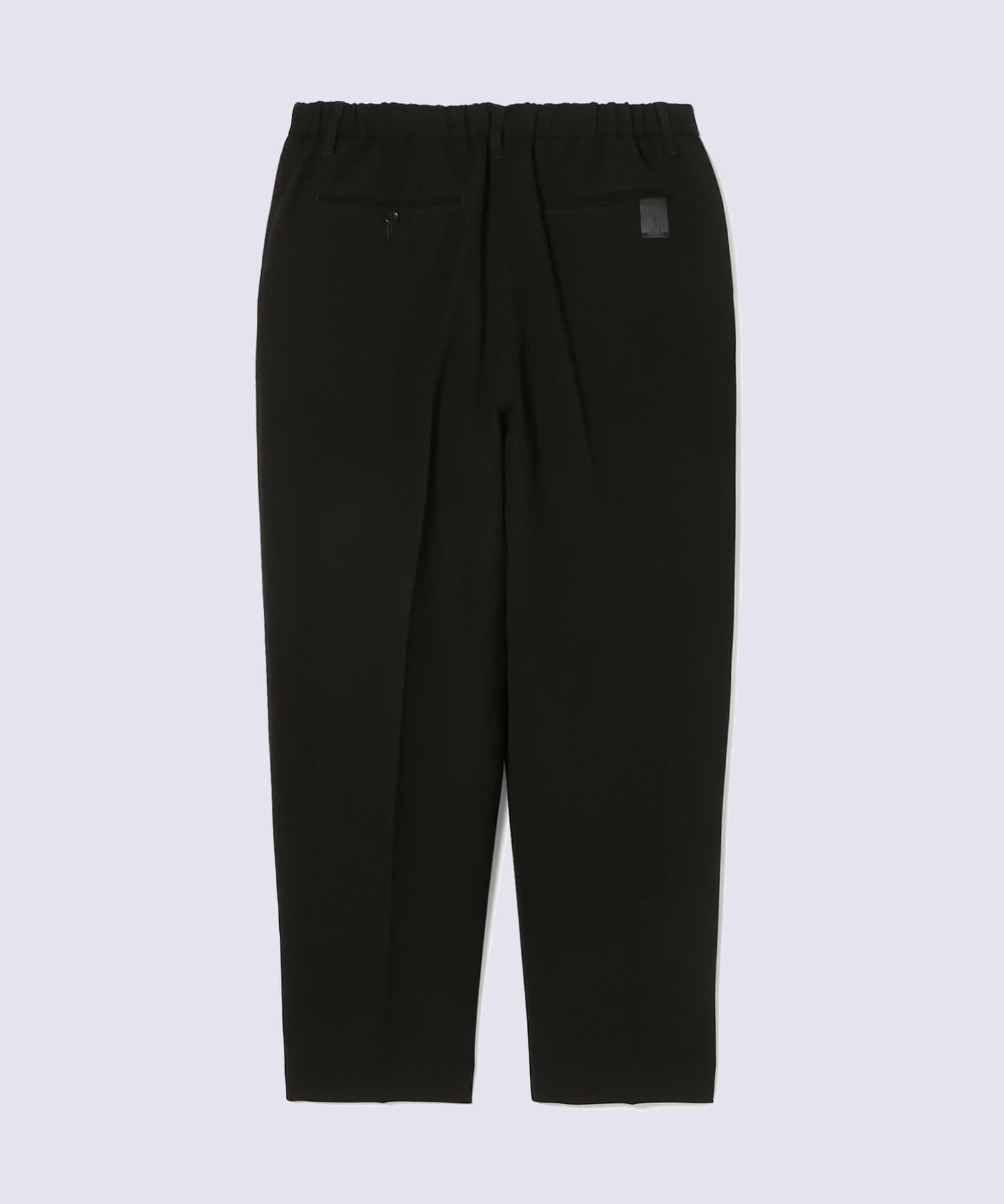 PT09-095 / 2TUCK TROUSERS N.HOOLYWOOD
