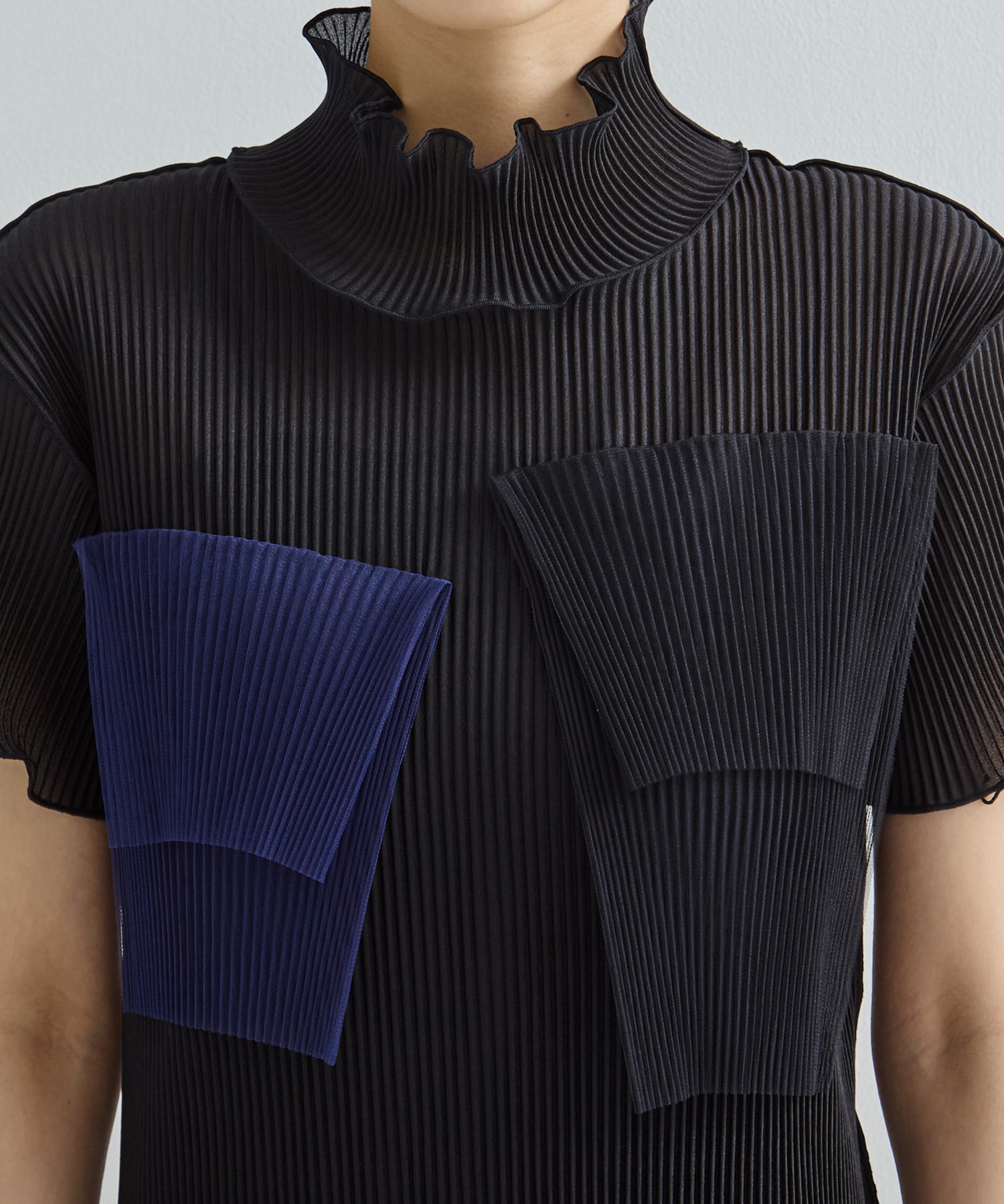 別注SHEER LAYERED SHORT SLEEVE HIGH NECK  DRESS kotohayokozawa