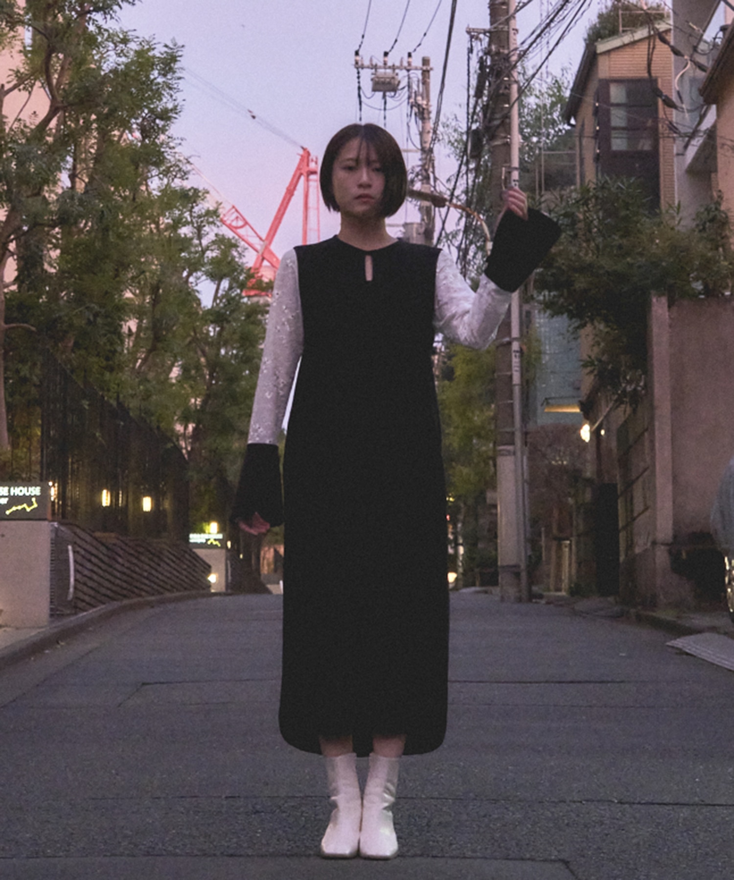 Triacetate Georgette Floral Embroidery Sleeve Classic Dress Mame Kurogouchi