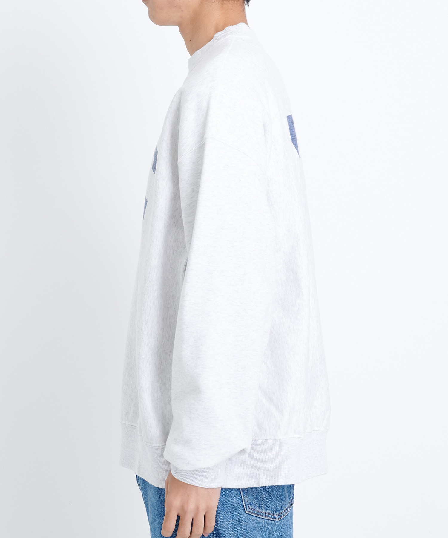 PRINT Sweat Crew-neck P/O Big｜blurhms