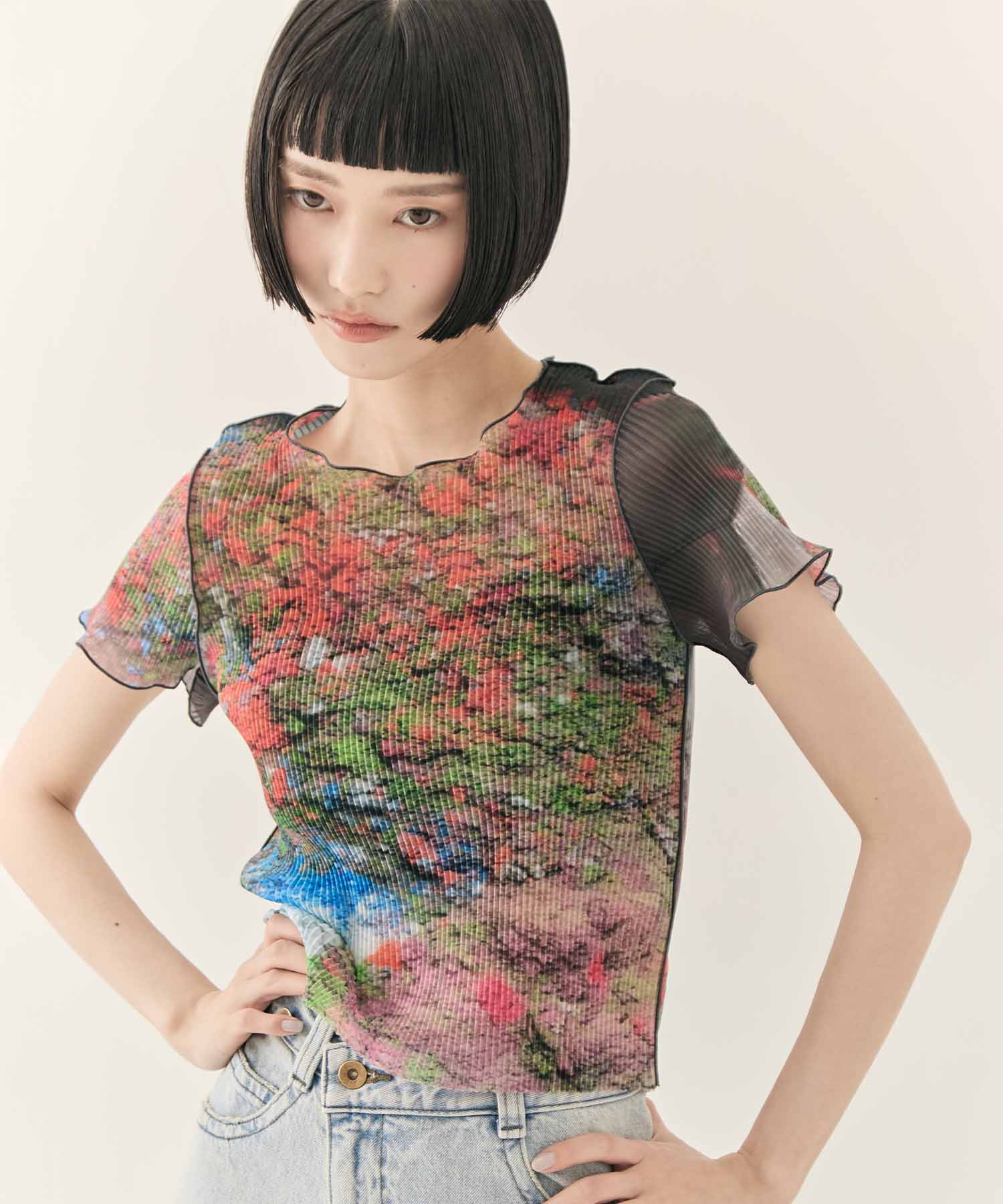 SHEER GRAPHIC TINY TOP kotohayokozawa