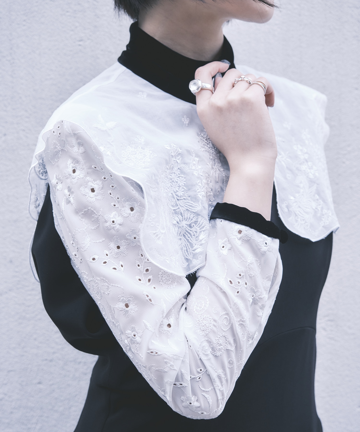 Triacetate Georgette Embroidery Collar Dress Mame Kurogouchi