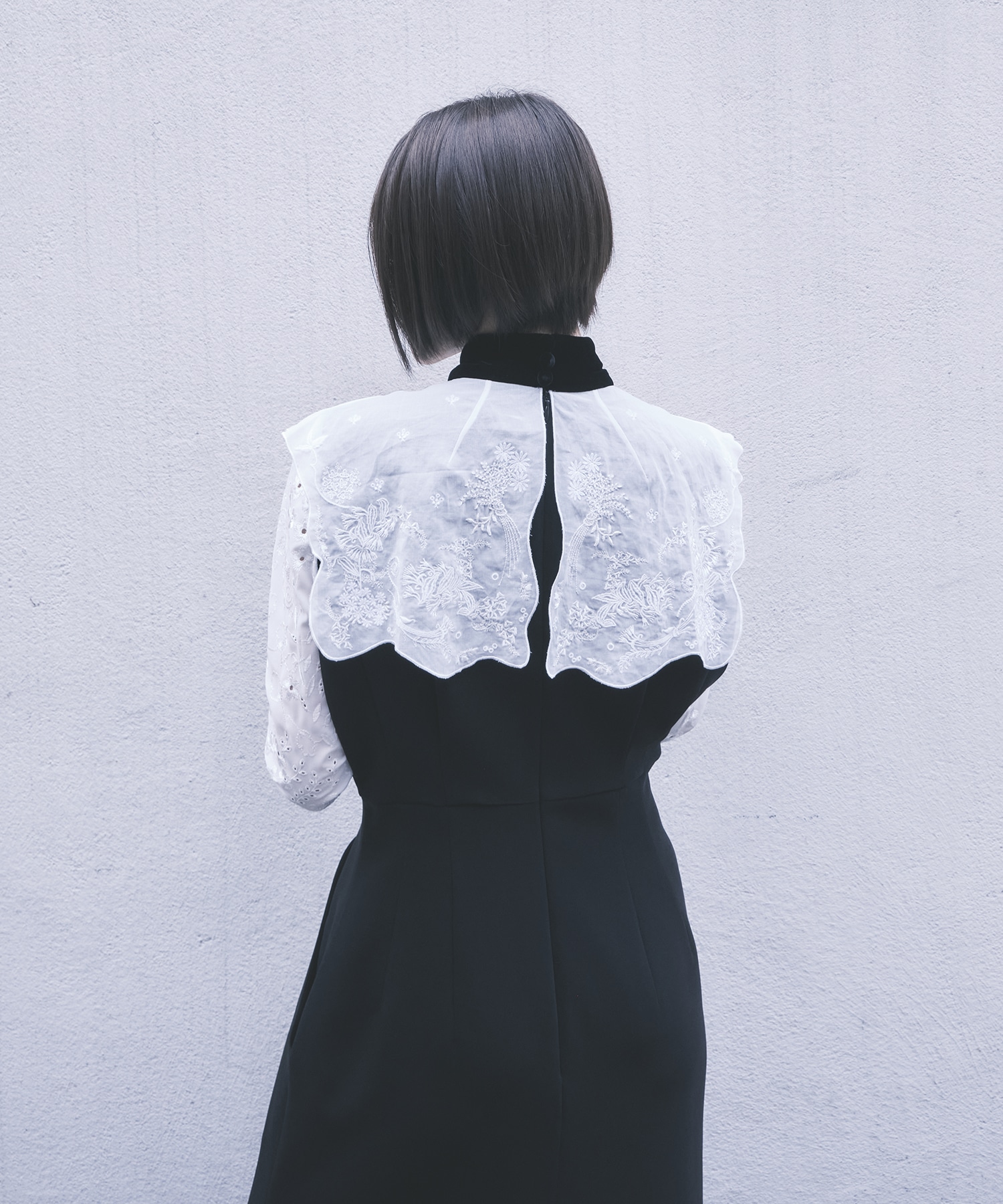 Triacetate Georgette Embroidery Collar Dress Mame Kurogouchi