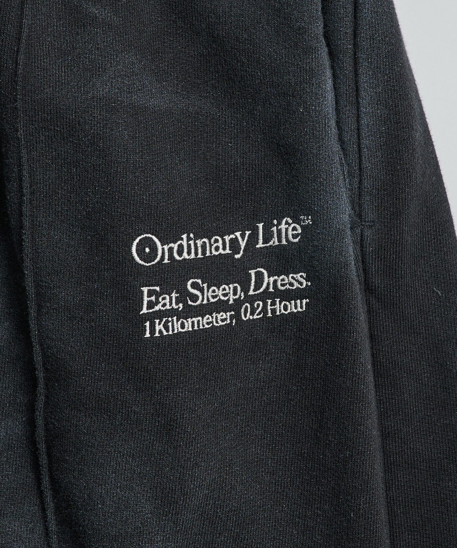 別注 WASHED  ORDINARY HOME PANTALON SHINYAKOZUKA