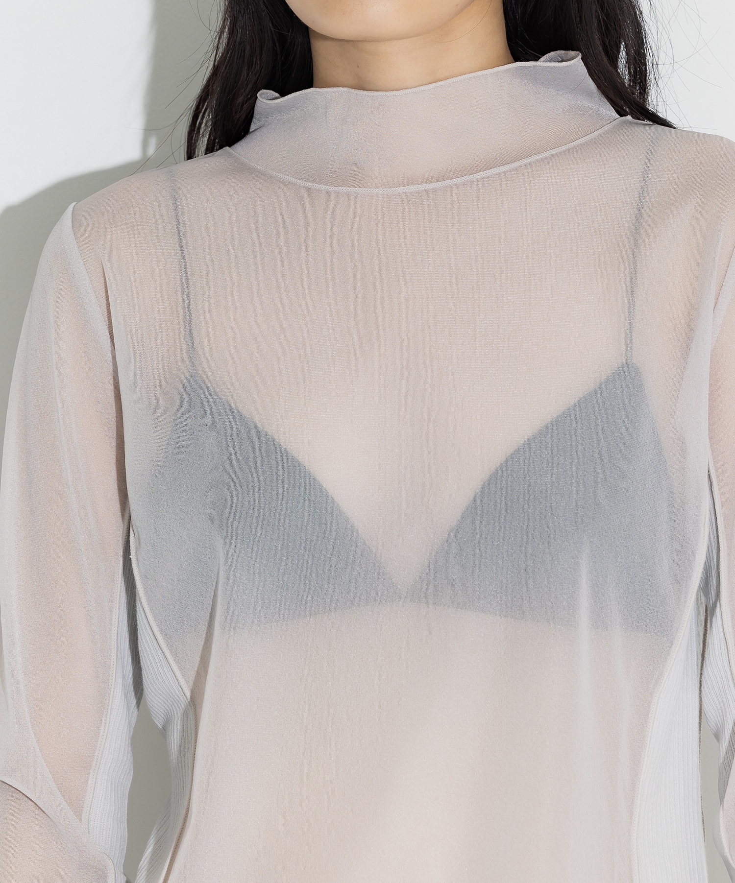 Rib Paneled Sheer Top STUDIOUS