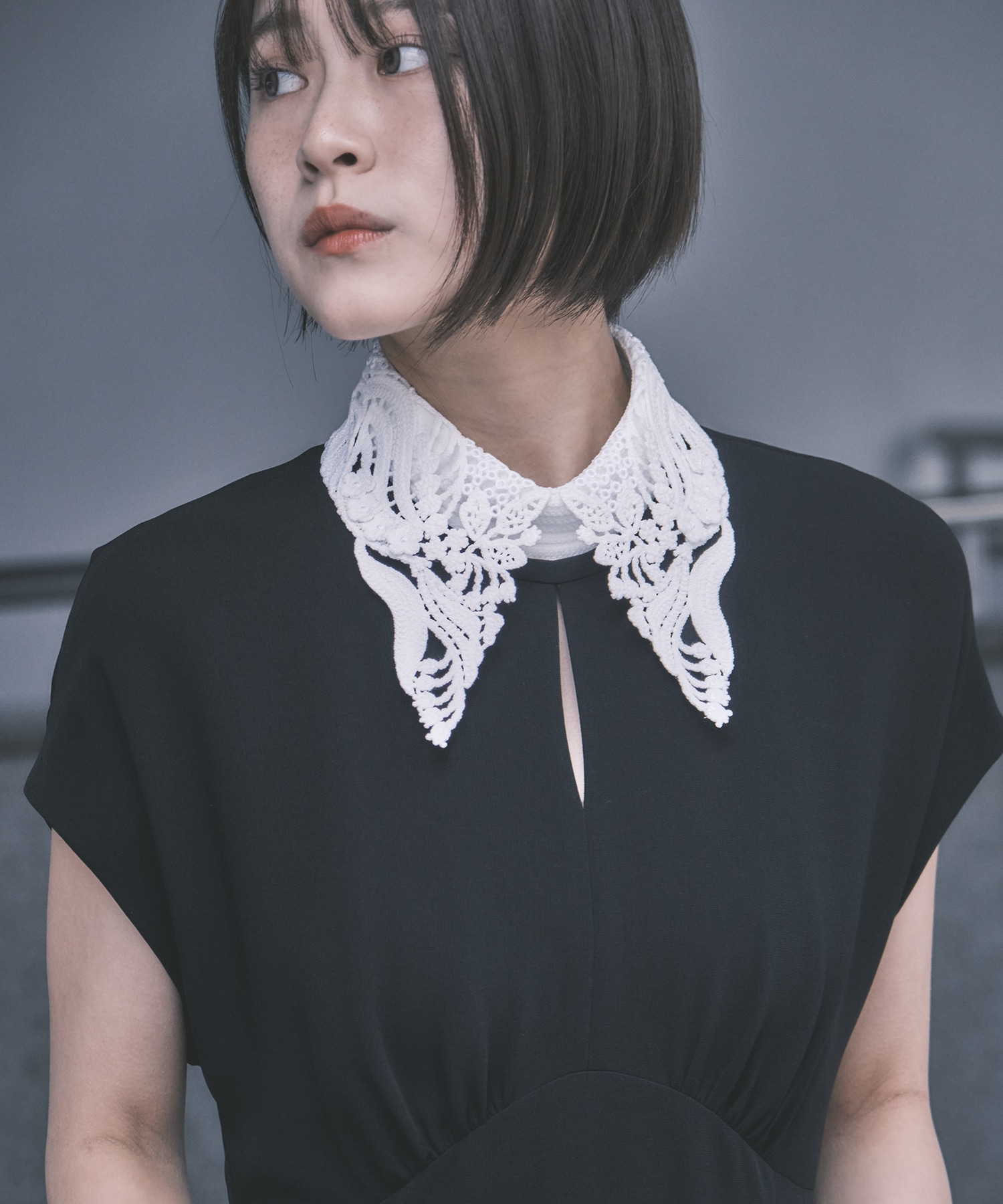 Triacetate Georgette Embroidered Collar Flared Dress Mame Kurogouchi