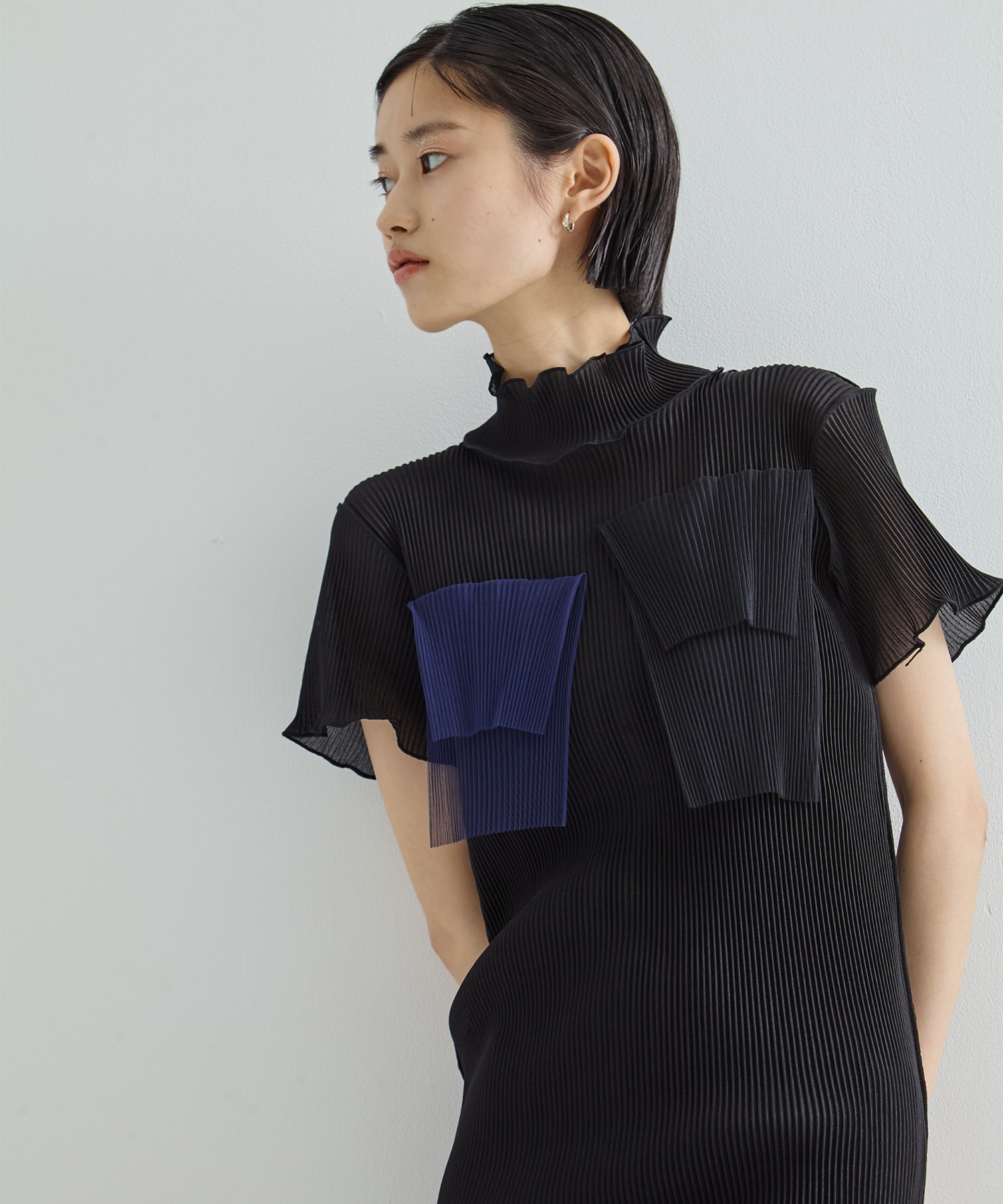 別注SHEER LAYERED SHORT SLEEVE HIGH NECK  DRESS kotohayokozawa