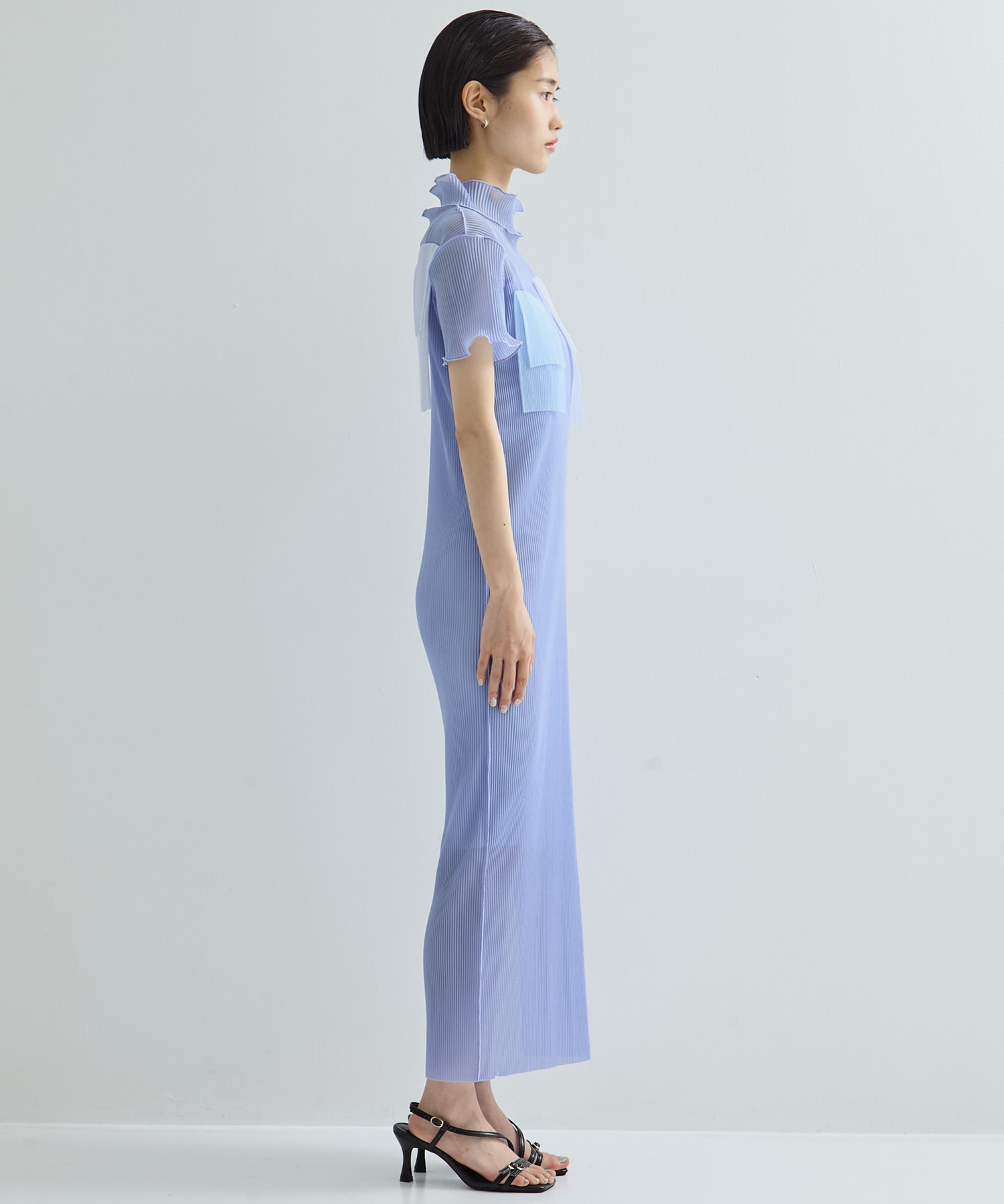 別注SHEER LAYERED SHORT SLEEVE HIGH NECK  DRESS kotohayokozawa