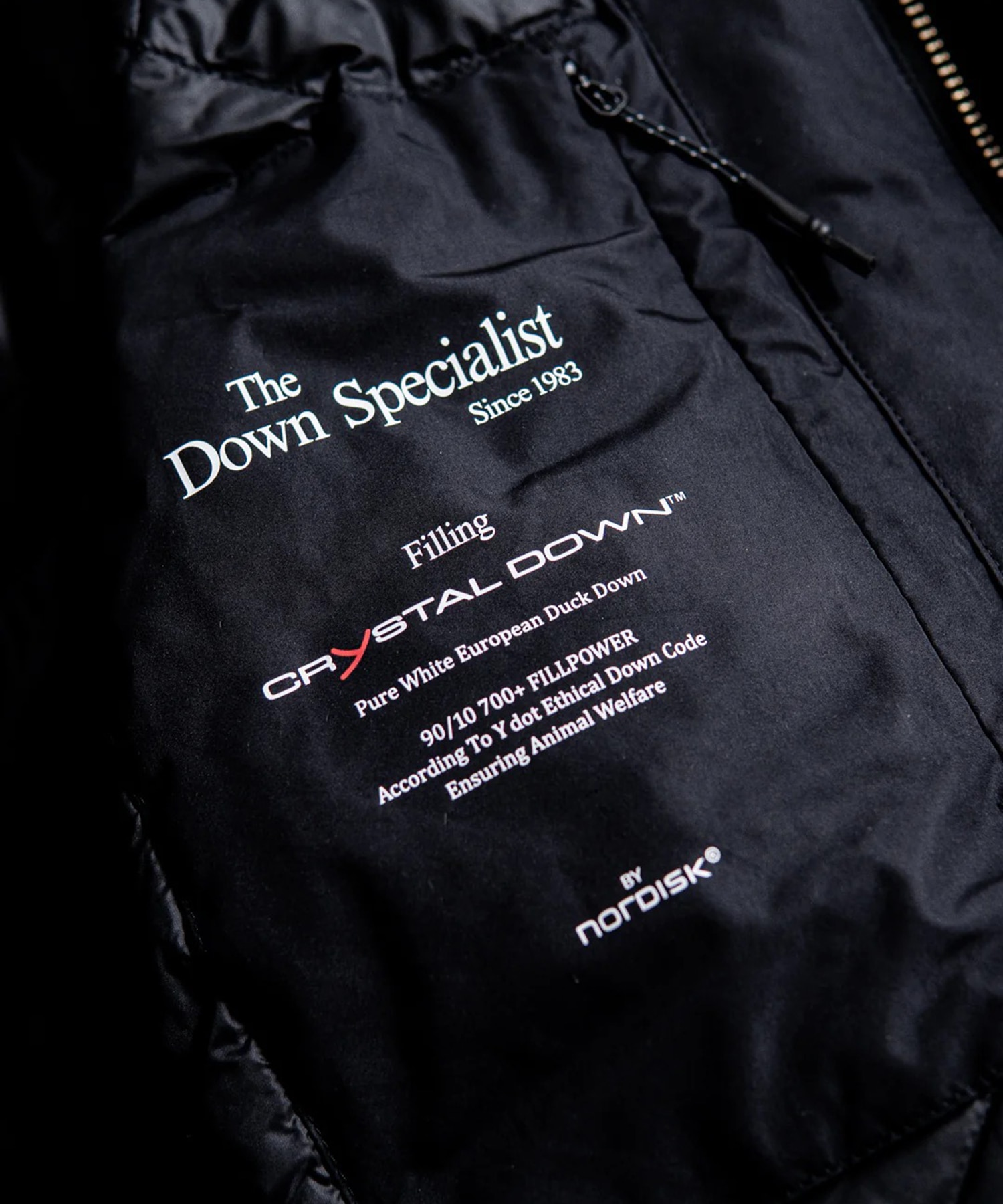 COLLARLESS BOMBER DOWN JACKET YDOT