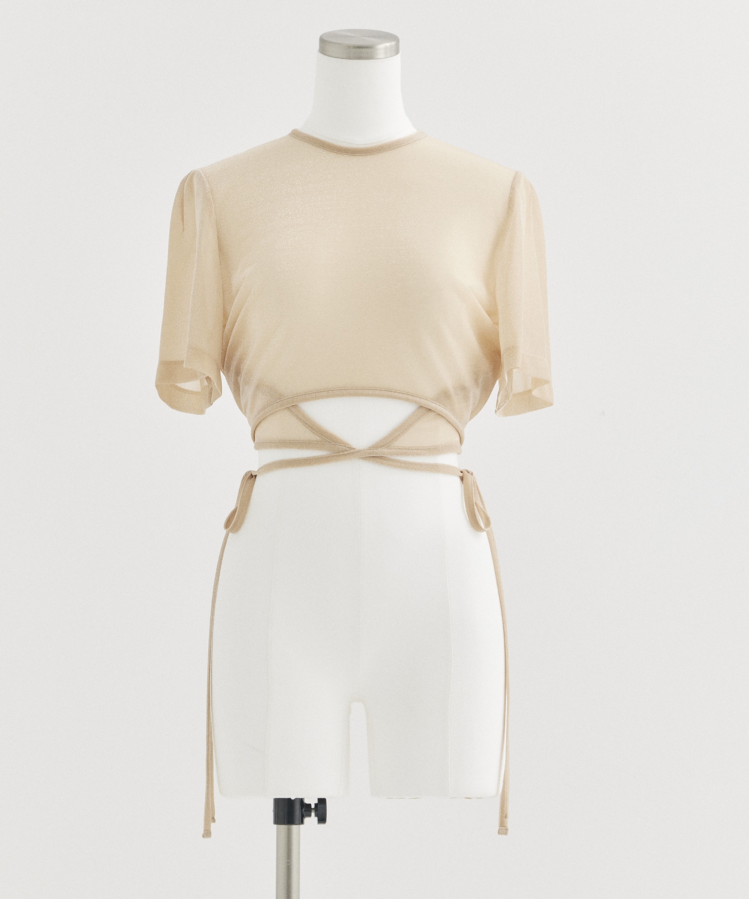 Lame Jersey Cropped Sheer Top