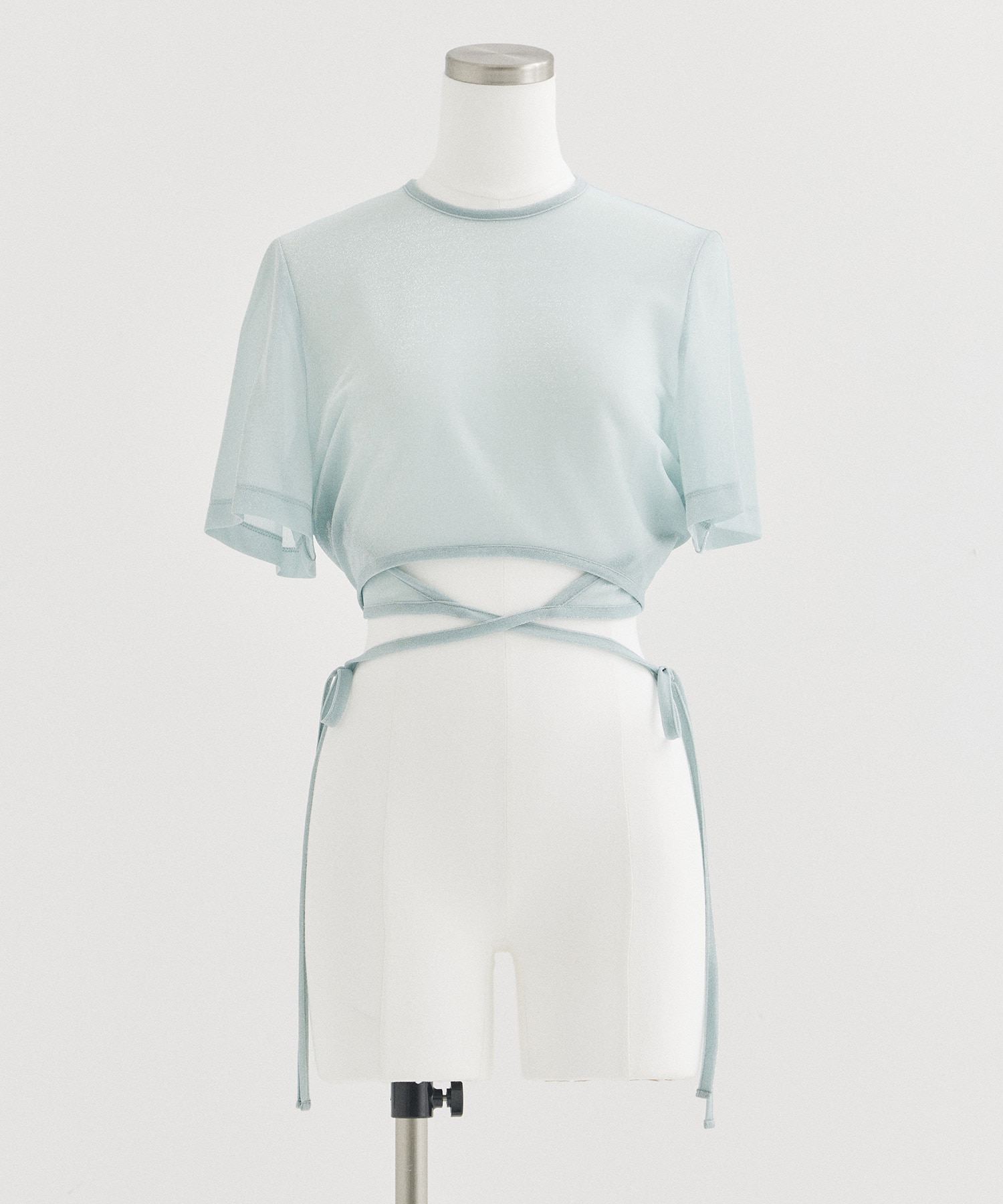 Lame Jersey Cropped Sheer Top