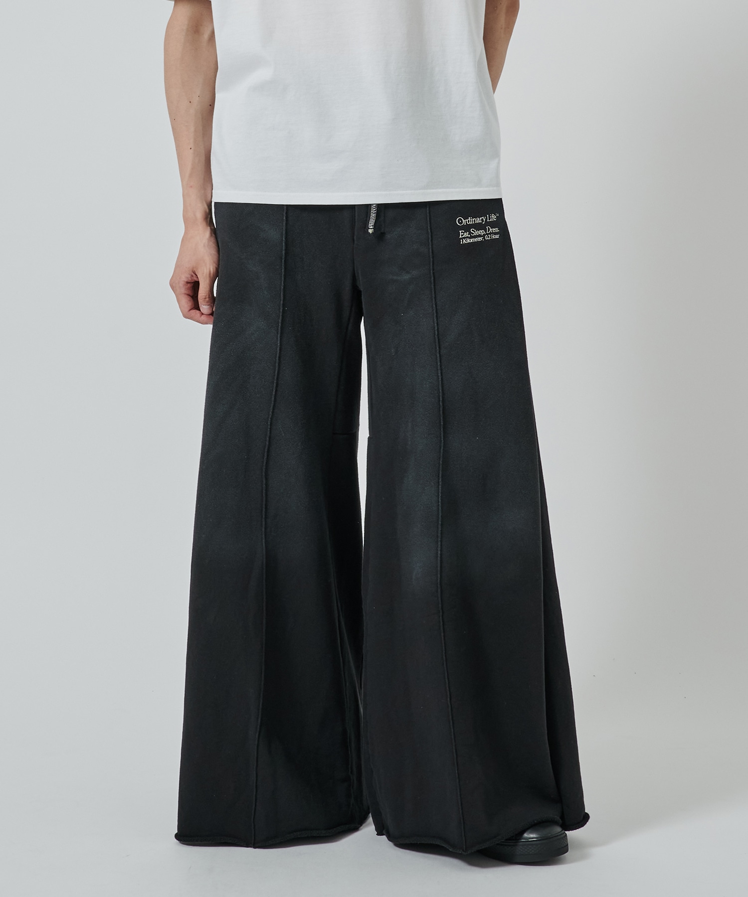 別注 WASHED  ORDINARY HOME PANTALON