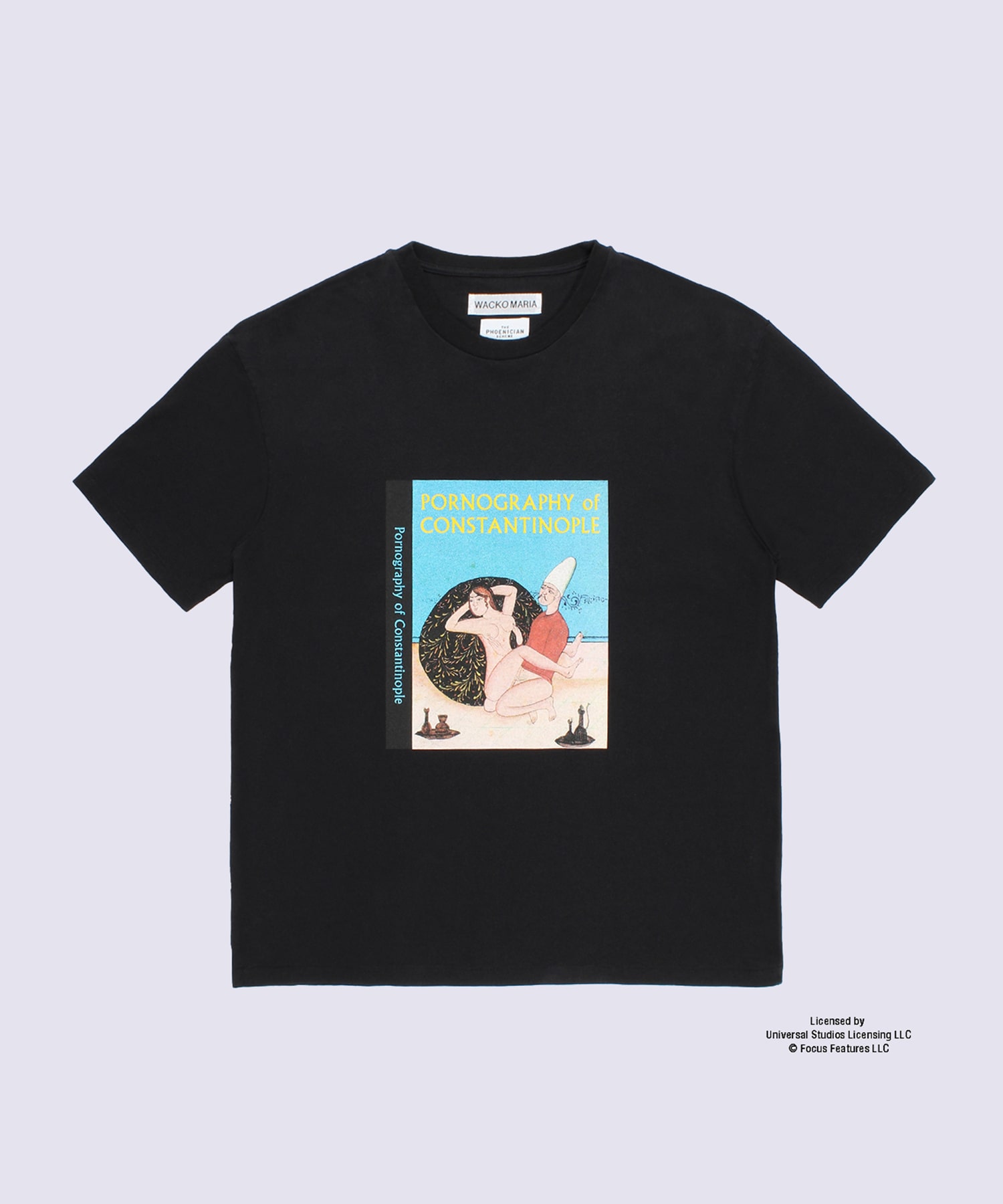 THE PHOENICIAN SCHEME / WASHED HEAVY WEIGHT CREW NECK T-SHIRT ( TYPE-1 )