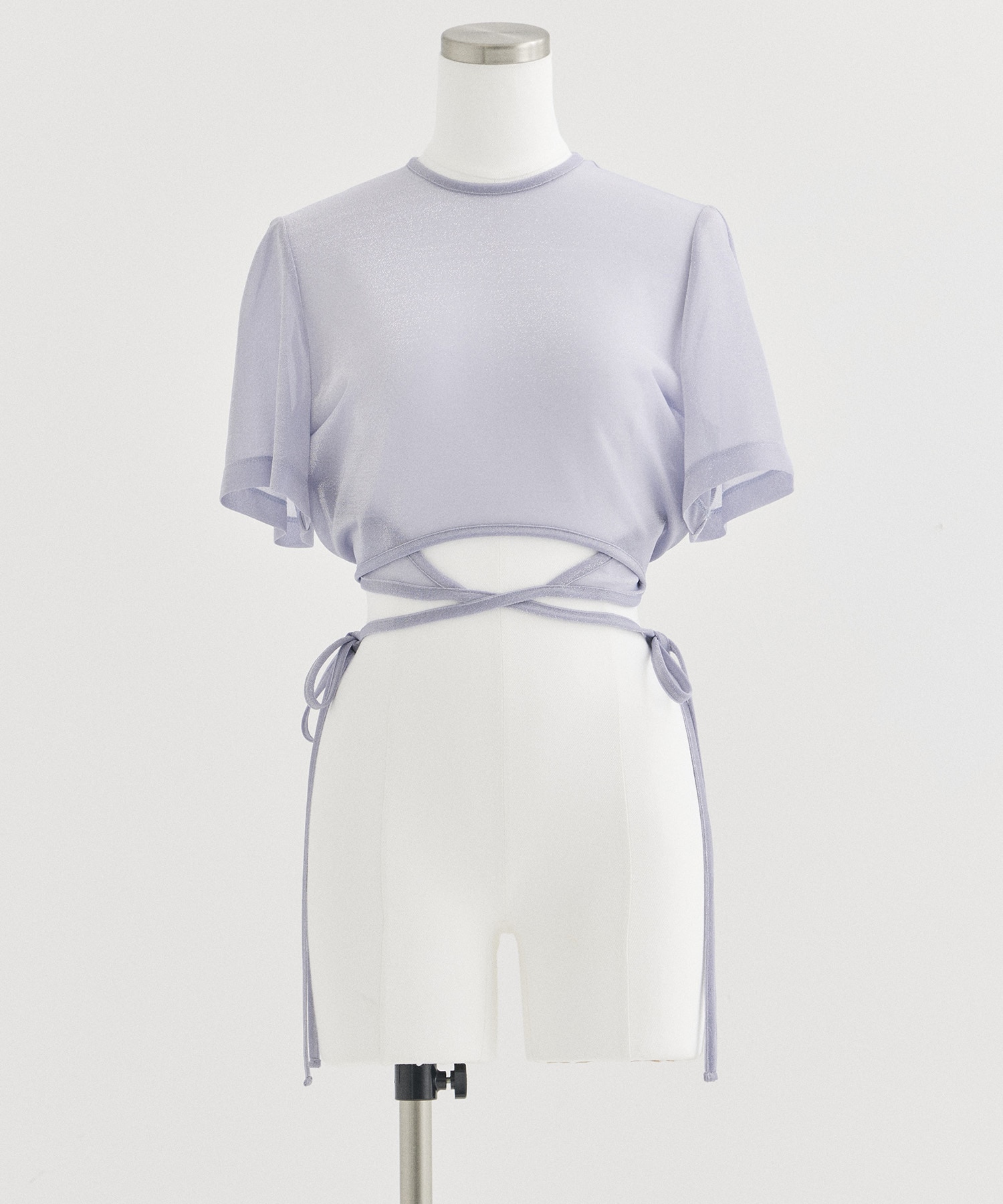 Lame Jersey Cropped Sheer Top