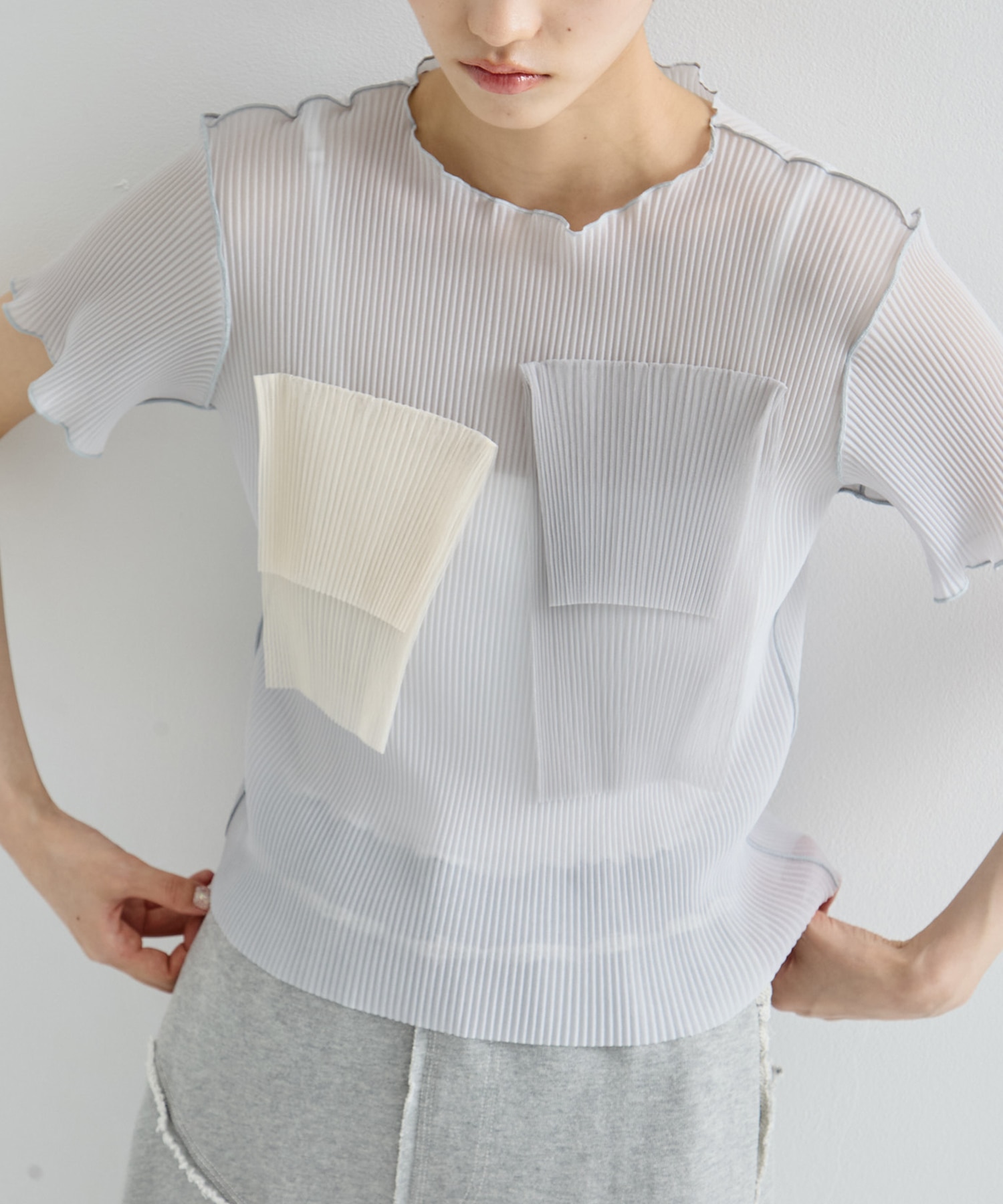 別注SHEER SHORT SLEEVE TOP
