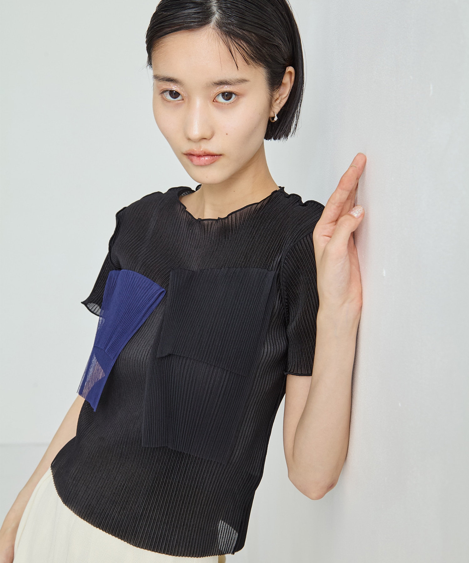 別注SHEER SHORT SLEEVE TOP