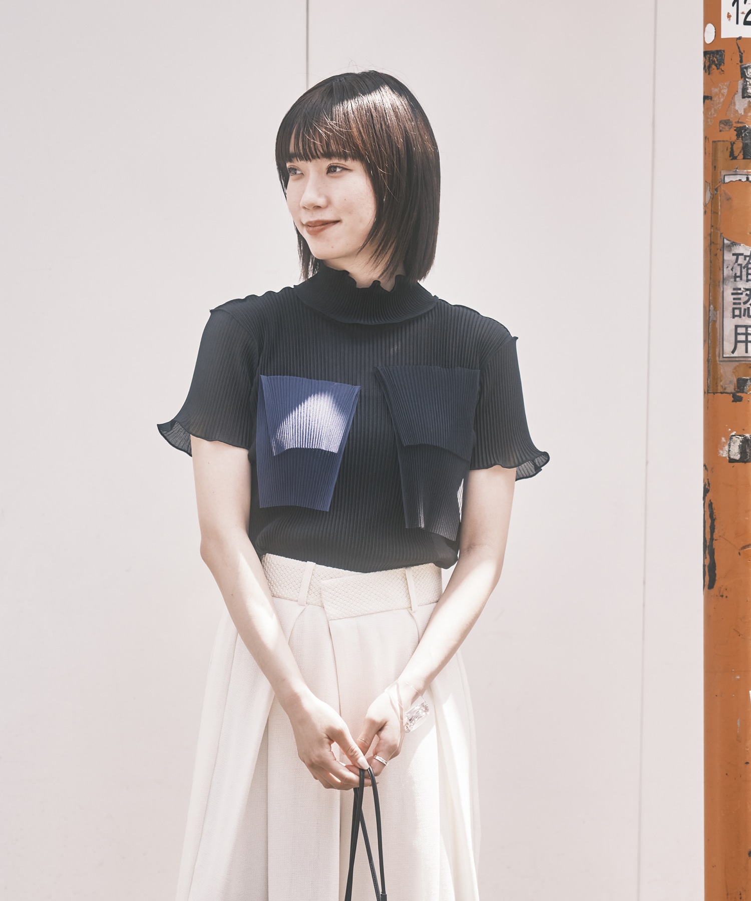 別注SHEER SHORT HIGHNECK SLEEVE TOP