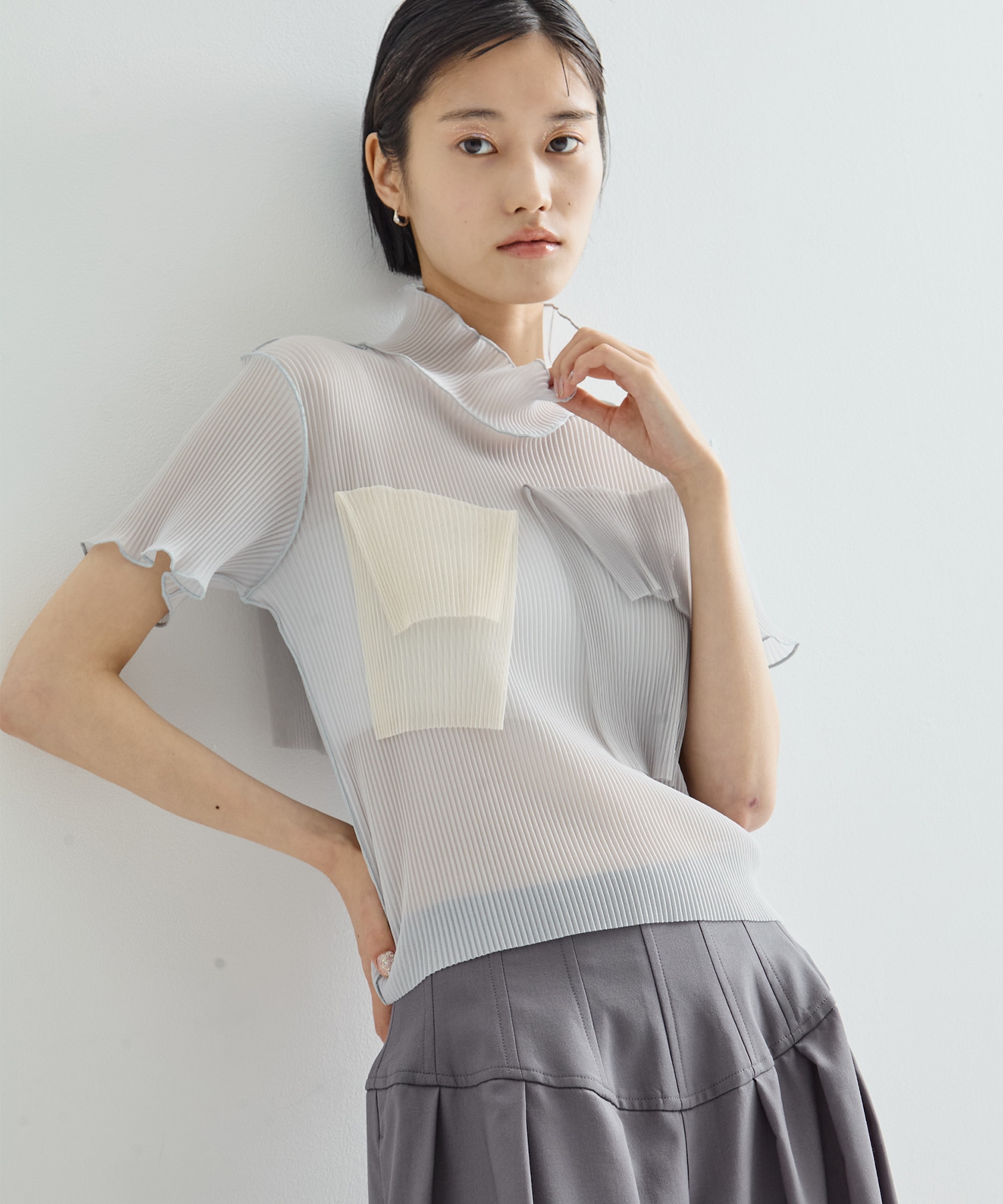 別注SHEER SHORT HIGHNECK SLEEVE TOP