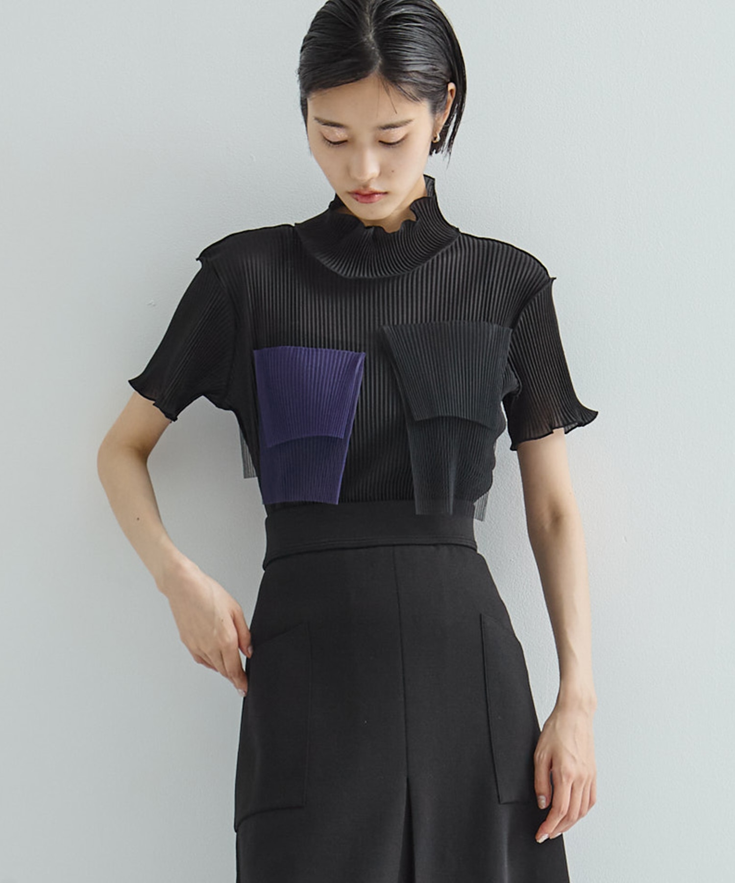 別注SHEER SHORT HIGHNECK SLEEVE TOP