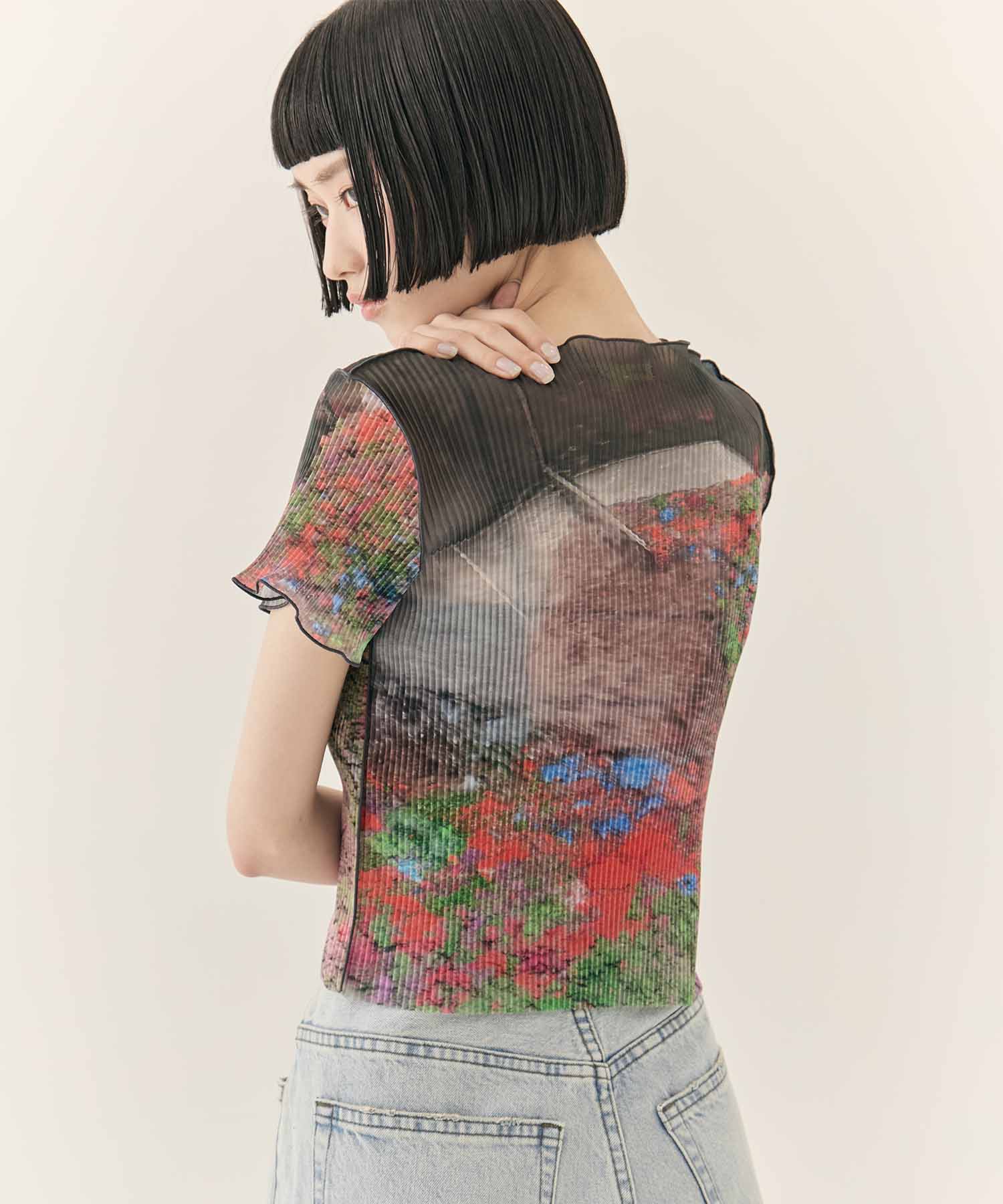 SHEER GRAPHIC TINY TOP