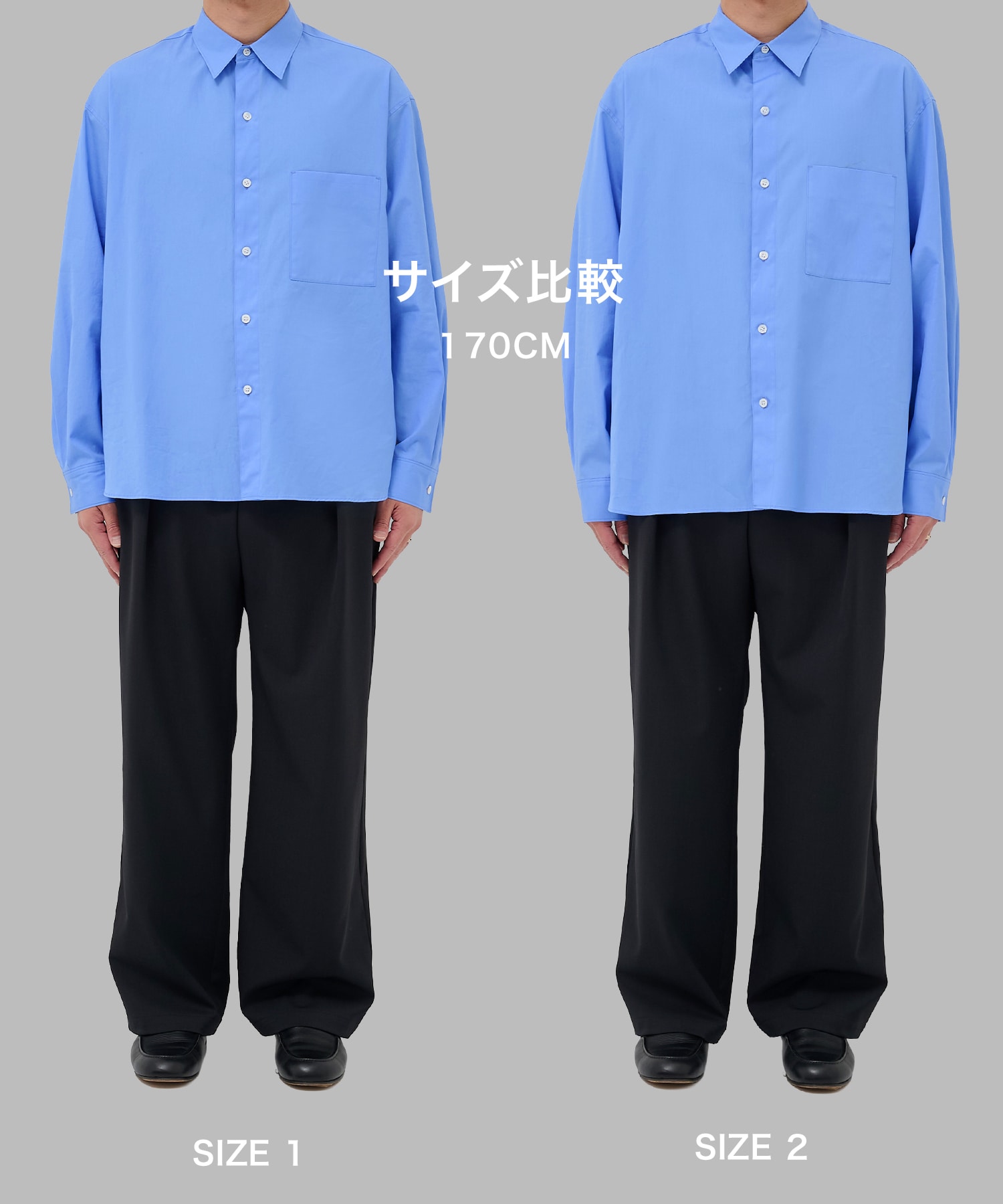 サンプル画像