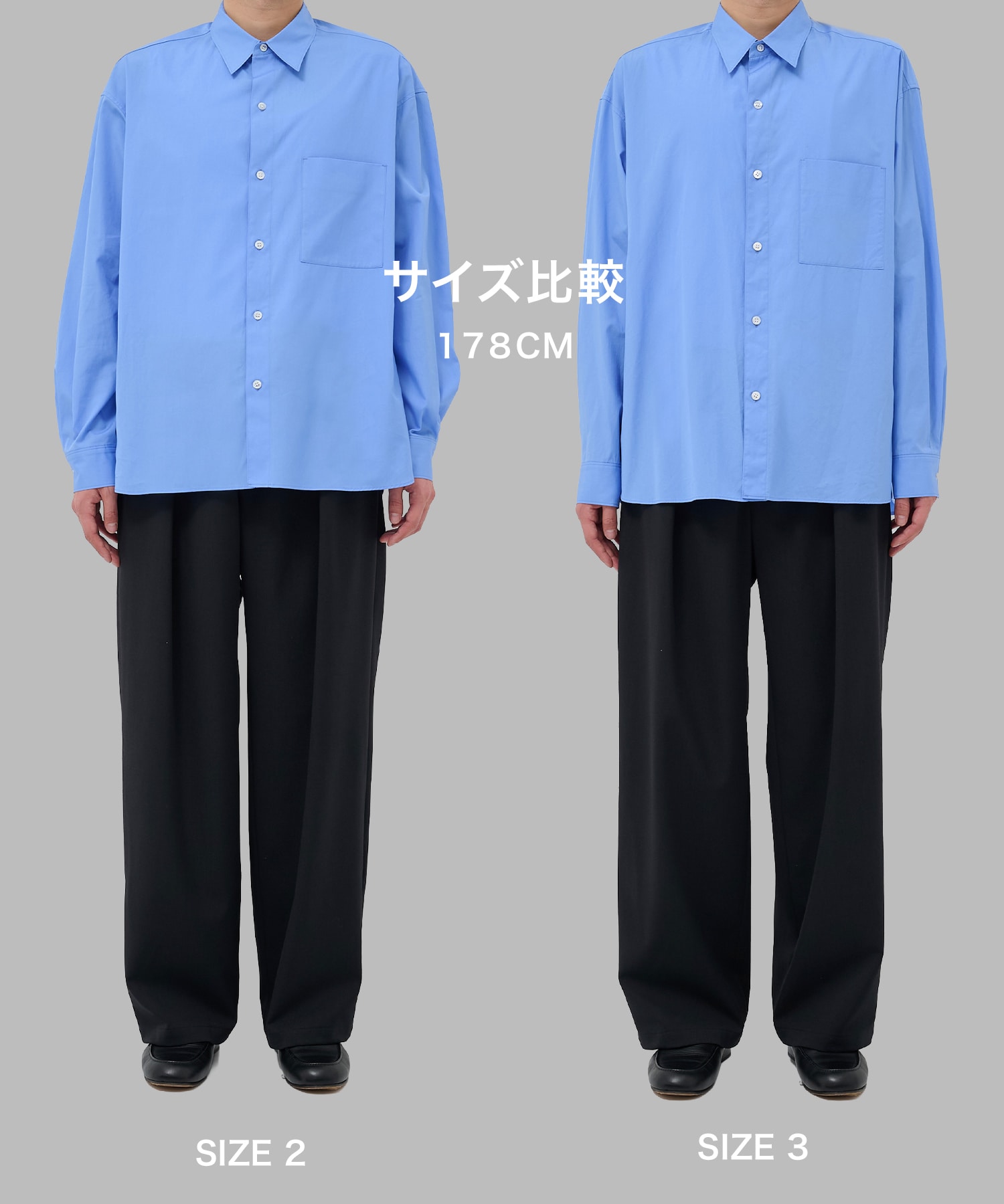 サンプル画像